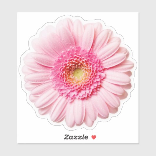 Sticker Rose Daisy (Feuille)