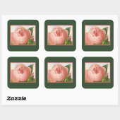 Sticker Rose de chou rose botanique (Feuille)