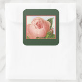 Sticker Rose de chou rose botanique (Sac)