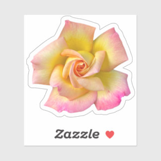 Sticker Rose de la paix rose-spirale