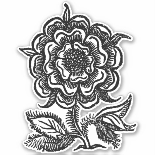 Sticker Rose de la Renaissance (Devant)