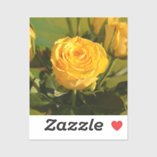 Sticker Rose jaune