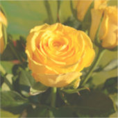 Sticker Rose jaune (Recto)