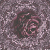 Sticker Rose Mandala (Devant)