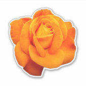 Sticker Rose orange rare (Devant)