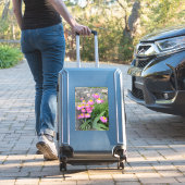 Sticker Rose Peint marguerite sauvage Fleurs naturelles ph (Valise Insitu)