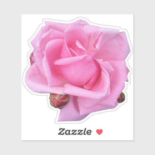 Sticker Rose rose (Feuille)