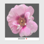 Sticker Rose rose avec Purple Heart - peinture à l'huile (Feuille)