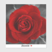 Sticker Rose rouge (Feuille)