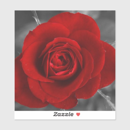 Sticker Rose rouge (Feuille)