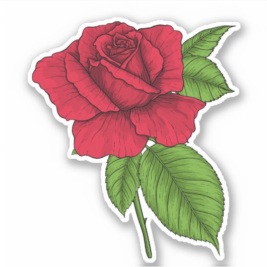 Sticker Rose rouge 2 (Devant)