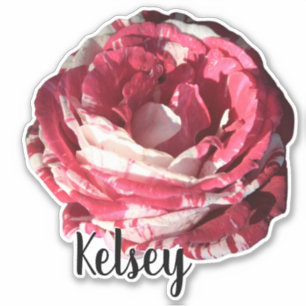 Sticker Rose rouge mignonne Nom Monogramme Flower Plantes 
