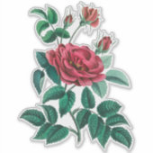 Sticker Rose rouge vintage (Devant)