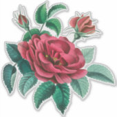 Sticker Rose rouge vintage (Devant)