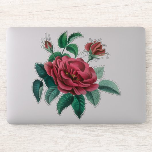 Sticker Rose rouge vintage (Ordinateur)