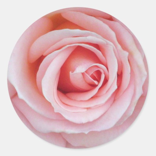 Sticker rose souple (Devant)