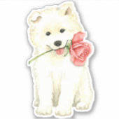 Sticker Rose Valentin Samoyed Vinyl (Devant)