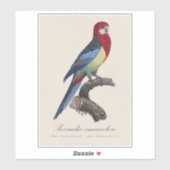 Sticker Rosella orientale ou Perruche à tête pâle Platycer (Feuille)