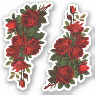 Sticker Roses de la Saint-Georges