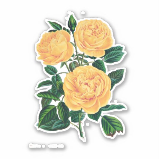 Sticker Roses jaunes (Devant)
