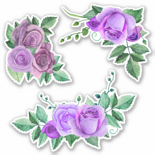 Sticker Roses pourpres d'aquarelle. Fleurs Lilac. Violet (Devant)