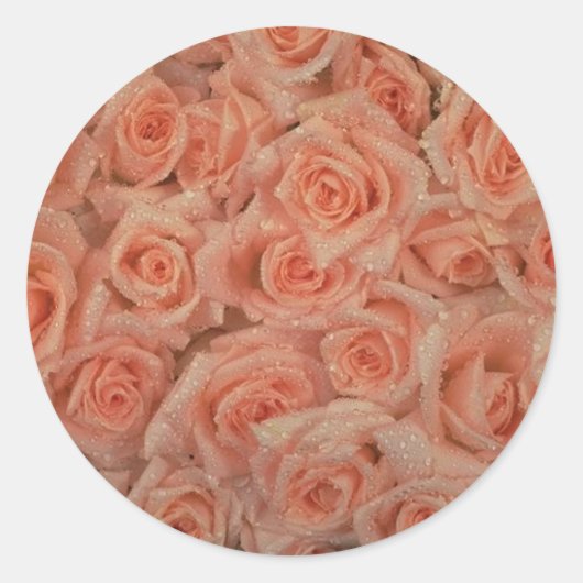 Sticker Roses Rose (Devant)