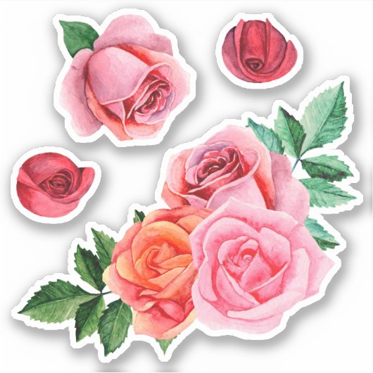Sticker Roses rose aquarelle. Fleurs de jardin. Botanique (Devant)