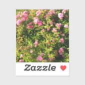 Sticker Roses roses en fleur (Feuille)