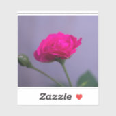 Sticker Rosier de jardin rose (Feuille)