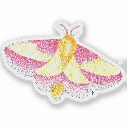 Sticker Rosy Maple Moth (Devant)