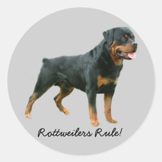 Sticker Rottweiler (Devant)