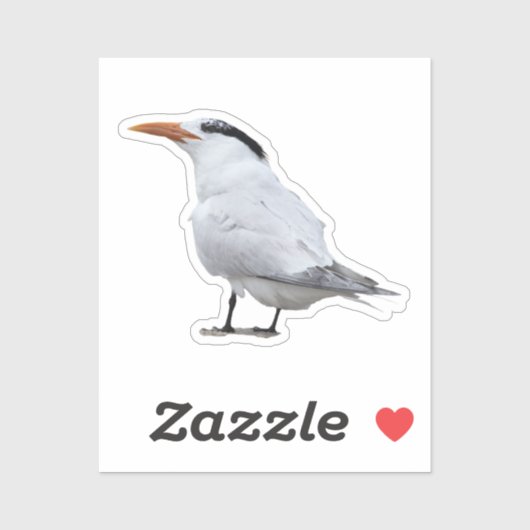 Sticker Royal Tern (Feuille)