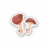 Sticker Ruby Bolete (Hortiboletus rubellus) (Recto)