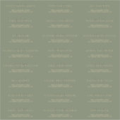 Sticker Sage Green Gold Simple Adresse Mariage officielle (Devant)