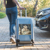 Sticker Saint George et le Dragon (Valise Insitu)