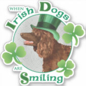 Sticker Saint Patrick's Day Irlandais Eau Spaniel Vinyl (Devant)