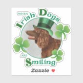 Sticker Saint Patrick's Day Irlandais Eau Spaniel Vinyl (Feuille)