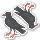 Sticker Saint-Piran's Day / St. Thomas Becket Choughs (f) (Devant)