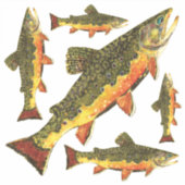 Sticker Salvelinus fontinalis (Devant)