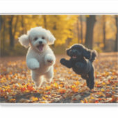 Sticker Saupoudrer les chiots de caniche (Devant)