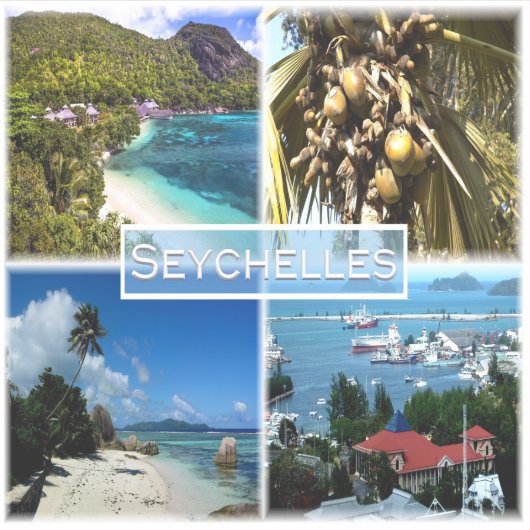 Sticker SC Seychelles - Beach Resort - Lodoicea Maldivica (Devant)