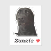 Sticker Scared Dog Meme (Feuille)