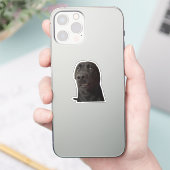 Sticker Scared Dog Meme (Téléphone)