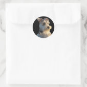 Sticker Schnauzer miniature (Sac)