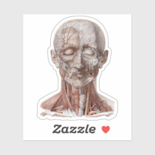 Sticker Science d'anatomie humaine vintage, tête gorge nez