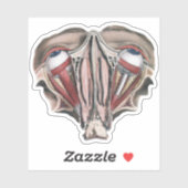 Sticker Science de l'anatomie humaine vintage, yeux (Feuille)