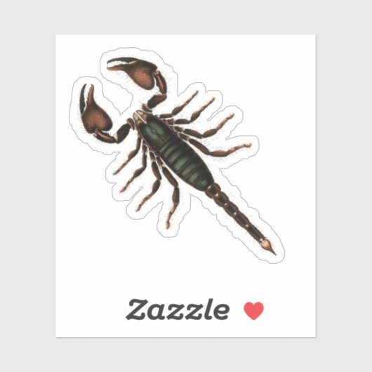 Sticker Scorpion ! (Feuille)