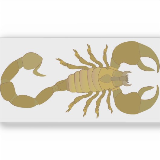 Sticker Scorpion (Devant)