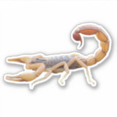 Sticker Scorpion piquant (Devant)