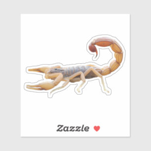 Sticker Scorpion piquant